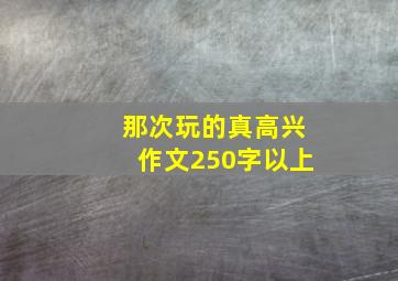 那次玩的真高兴作文250字以上