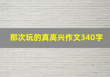 那次玩的真高兴作文340字