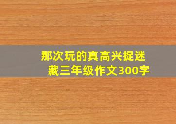 那次玩的真高兴捉迷藏三年级作文300字