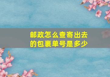 邮政怎么查寄出去的包裹单号是多少