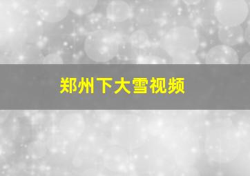 郑州下大雪视频