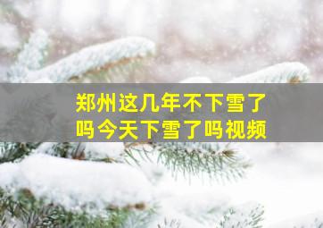 郑州这几年不下雪了吗今天下雪了吗视频