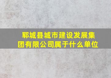 郓城县城市建设发展集团有限公司属于什么单位