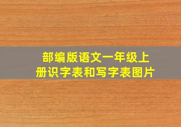 部编版语文一年级上册识字表和写字表图片