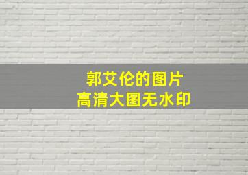 郭艾伦的图片高清大图无水印