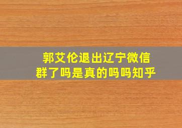 郭艾伦退出辽宁微信群了吗是真的吗吗知乎