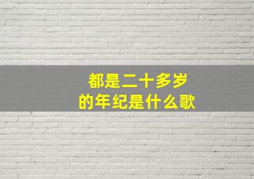 都是二十多岁的年纪是什么歌