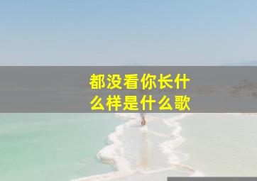 都没看你长什么样是什么歌