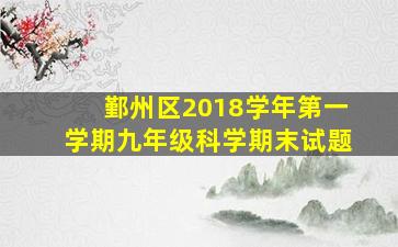 鄞州区2018学年第一学期九年级科学期末试题