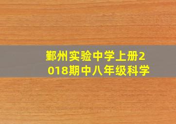 鄞州实验中学上册2018期中八年级科学