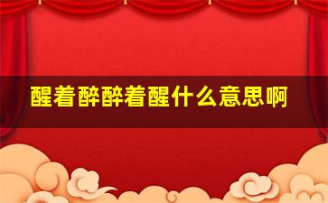 醒着醉醉着醒什么意思啊