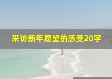 采访新年愿望的感受20字