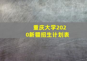 重庆大学2020新疆招生计划表