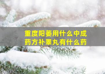 重度阳萎用什么中成药方补睪丸有什么药