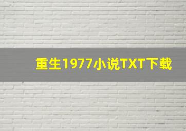 重生1977小说TXT下载