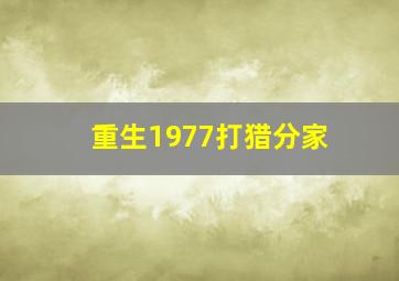 重生1977打猎分家