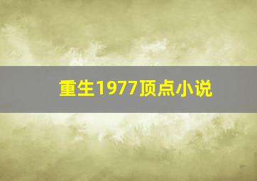 重生1977顶点小说