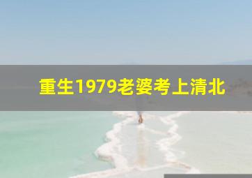 重生1979老婆考上清北