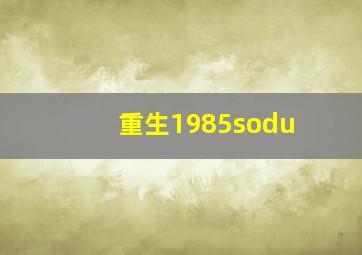 重生1985sodu