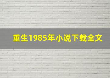 重生1985年小说下载全文