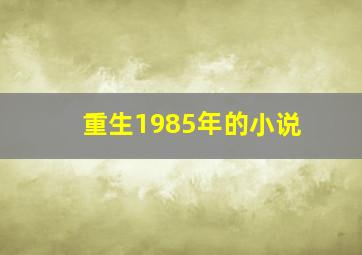 重生1985年的小说