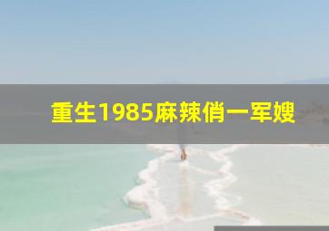 重生1985麻辣俏一军嫂