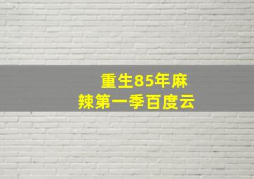 重生85年麻辣第一季百度云