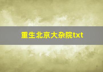 重生北京大杂院txt