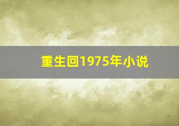 重生回1975年小说