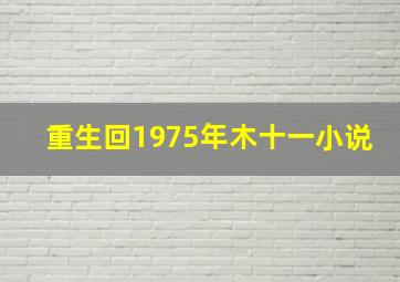 重生回1975年木十一小说