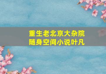 重生老北京大杂院随身空间小说叶凡