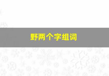 野两个字组词