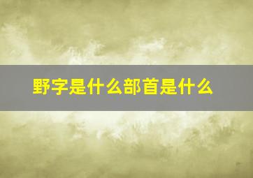 野字是什么部首是什么