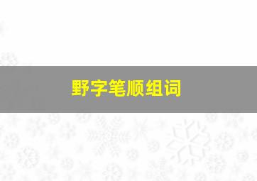 野字笔顺组词