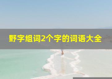 野字组词2个字的词语大全