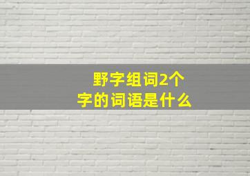 野字组词2个字的词语是什么