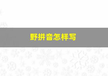 野拼音怎样写