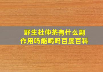 野生杜仲茶有什么副作用吗能喝吗百度百科