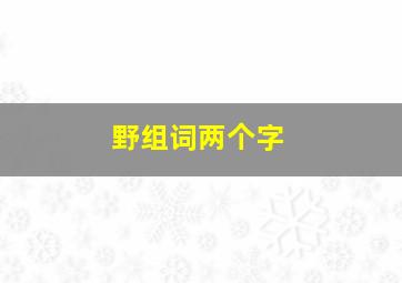 野组词两个字