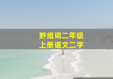 野组词二年级上册语文二字