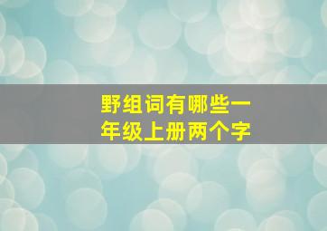 野组词有哪些一年级上册两个字