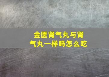 金匮肾气丸与肾气丸一样吗怎么吃