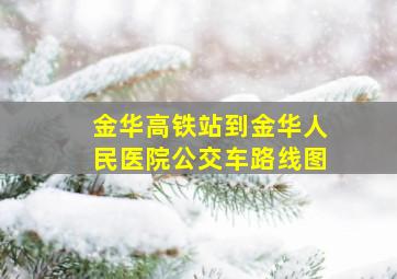 金华高铁站到金华人民医院公交车路线图