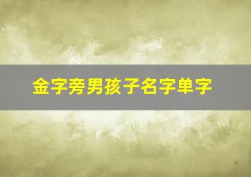 金字旁男孩子名字单字