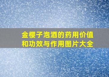 金樱子泡酒的药用价值和功效与作用图片大全