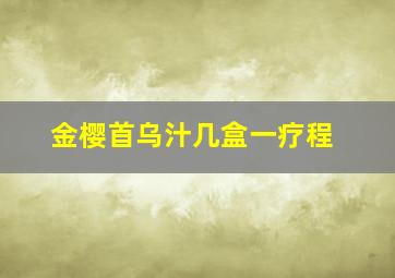 金樱首乌汁几盒一疗程