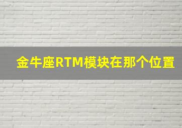 金牛座RTM模块在那个位置