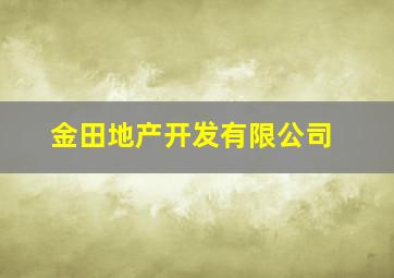 金田地产开发有限公司