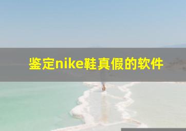 鉴定nike鞋真假的软件