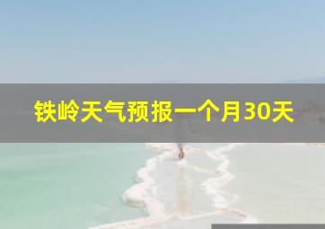 铁岭天气预报一个月30天